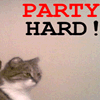 Its The Weekend ! Party Hard !!