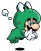 Mario's frog suit