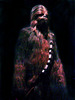 Wookie Warrior