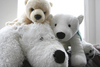 polar bear soft toys