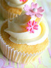 pinky primroses cupcake