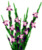 ~♥~ iris bouquet for u ~♥~ 