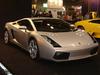 Just for you!!~Lamborghin i