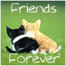 *** Friends forever ***