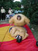 Sumo Love