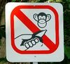 Do not feed the monkey