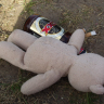 Drunk Teddy Bear!