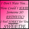 * I DONT HATE YOU*