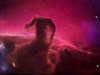 Horsehead Nebula