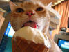 ice cream! *yummy, yummy!*