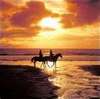 Horseback Riding at Sunset