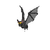 a flying vampire bat 