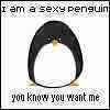 Sexy penguin