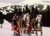 a Belgian Horse Sleigh Ride