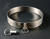 a stainless steel collar