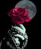 chained rose