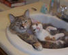 a romantic bath for two...