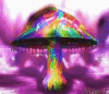 magic mushrooms!