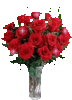 ** Red Roses