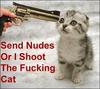 send me your pics