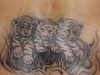 tatto tigers