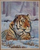 Snow Tiger by Deveda