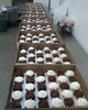 300 Cupcakes
