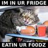 FoodCat