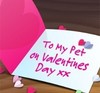 Valentines For My Lovely Pet 