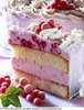 ~raspberry cream cake~