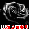LUST AND LOVE AFTER YOU