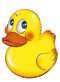 ducky