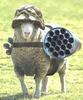 sheep with rocket launcher