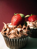 chocolate cupcake