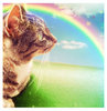 ♥ Let's Visit the Rainbow ♥