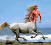 A Centaur's Race in the Wind