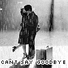 I Just Cant Say Goodbye!
