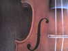 violin