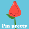 A Rose