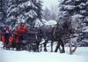 A Romantic Sleigh Ride