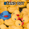 stand out in a crowd 