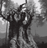 A trip to a haunted forest