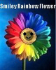 *Smiley Rainbow Flower*