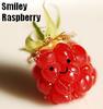 *Smiley Raspberry*