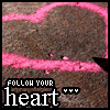 follow your ♥