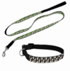 Leash and collar