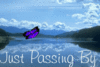  ~ Just passing by ~