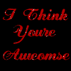 ~I Think You're Awesome~