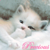 ~My Precious Pet~