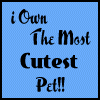 ~The Best Pet~